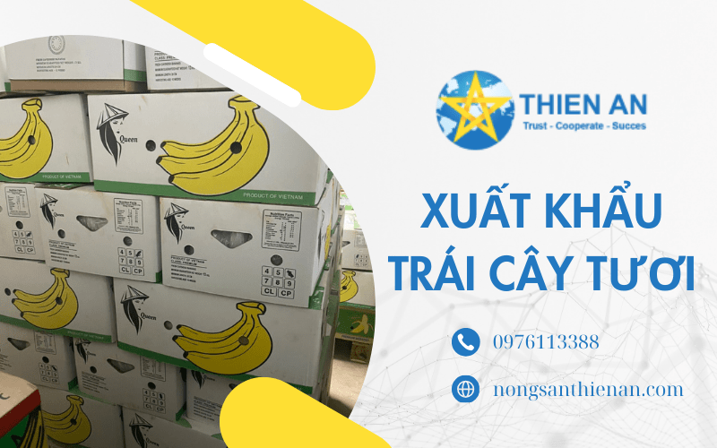 xuất khẩu trái cây