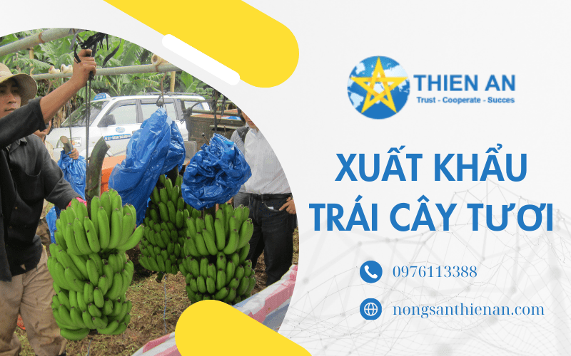 xuất khẩu trái cây