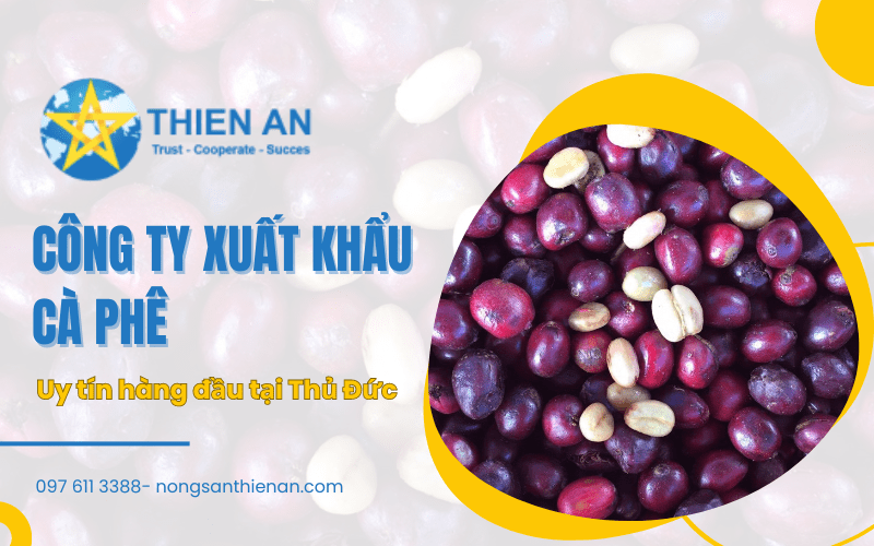 công ty xuất khẩu cà phê