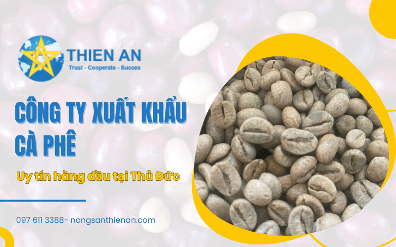công ty xuất khẩu cà phê