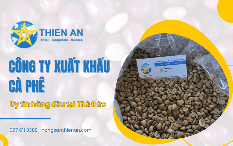 công ty xuất khẩu cà phê