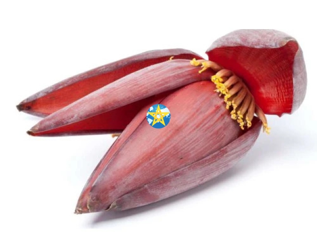 Bắp Chuối ( Hoa Chuối ) 