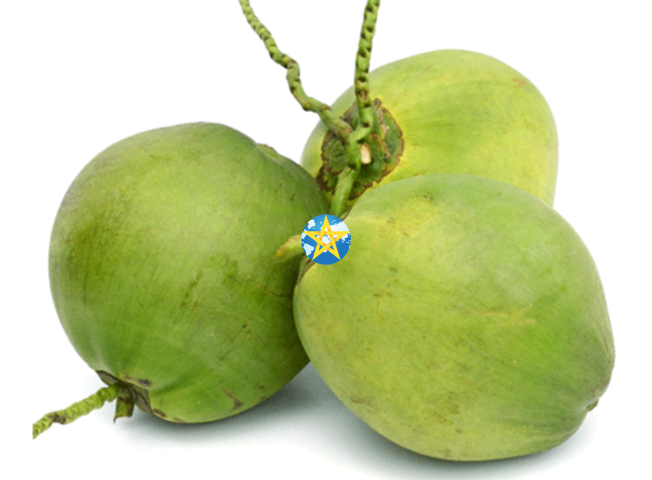 Dừa Xiêm