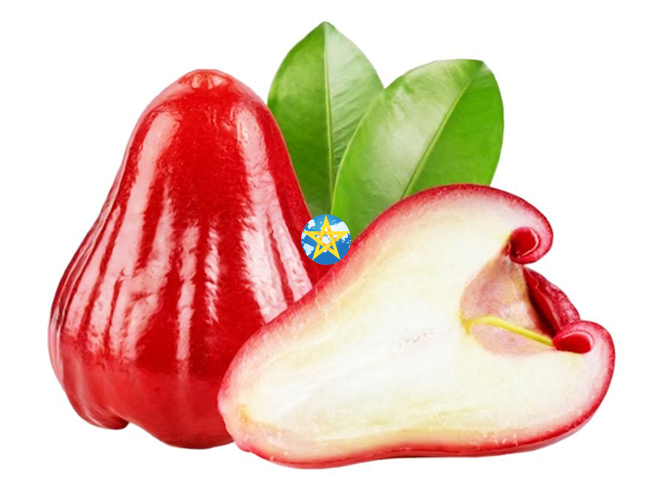 Mận Đỏ
