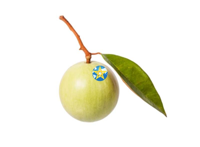 Vú Sữa