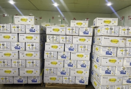 Chuối xuất khẩu