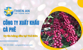 Thiên Ân – Công ty xuất khẩu cà phê uy tín hàng đầu tại TP.HCM