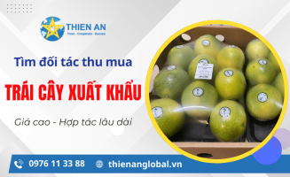 Thiên Ân Global – Cần tìm đối tác thu mua trái cây xuất khẩu giá cao, hợp tác bền vững