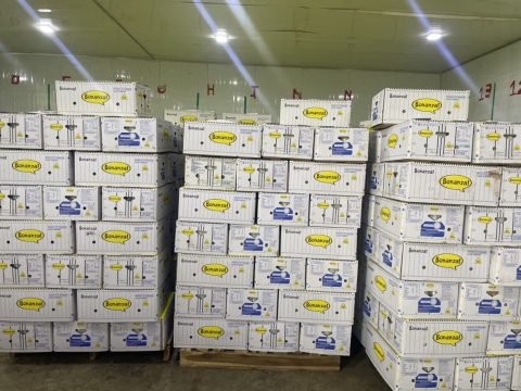 Chuối xuất khẩu