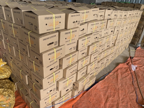 Gừng xuất khẩu
