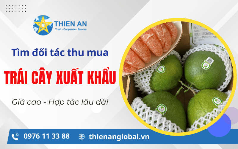 đối tác thu mụa trái cây xuất khẩu