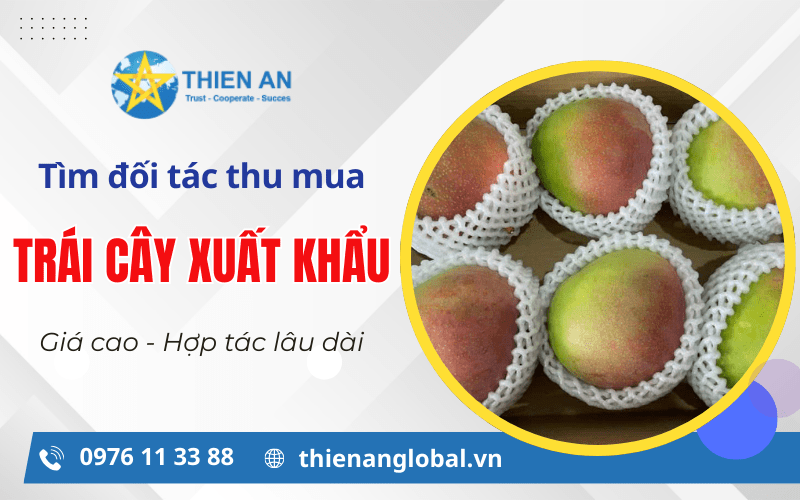 đối tác thu mụa trái cây xuất khẩu