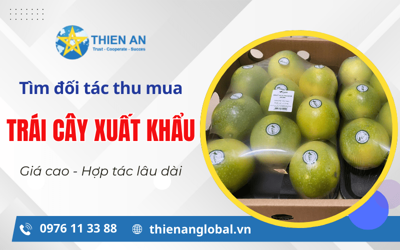 đối tác thu mụa trái cây xuất khẩu