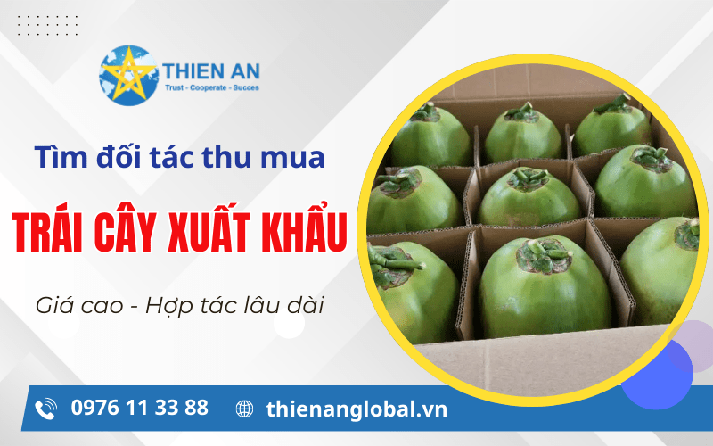 đối tác thu mụa trái cây xuất khẩu