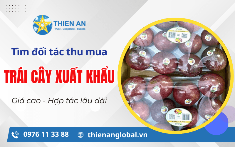 đối tác thu mụa trái cây xuất khẩu